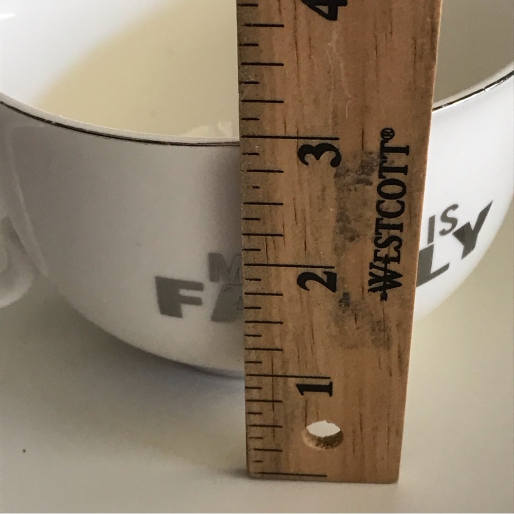"My Dog is Family" Coffee Cup Mug My Fido Pet Lover Collection- Whte W/Gold Trim - Picture 12 of 13